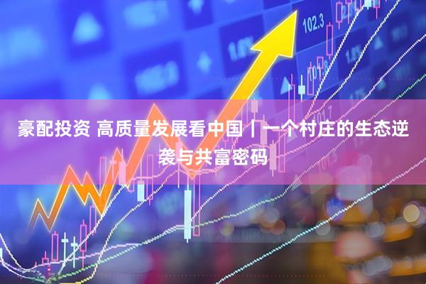 豪配投资 高质量发展看中国｜一个村庄的生态逆袭与共富密码