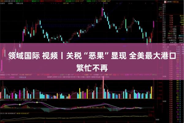 领域国际 视频丨关税“恶果”显现 全美最大港口繁忙不再