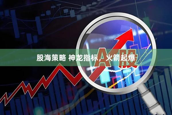 股海策略 神龙指标，火箭起爆