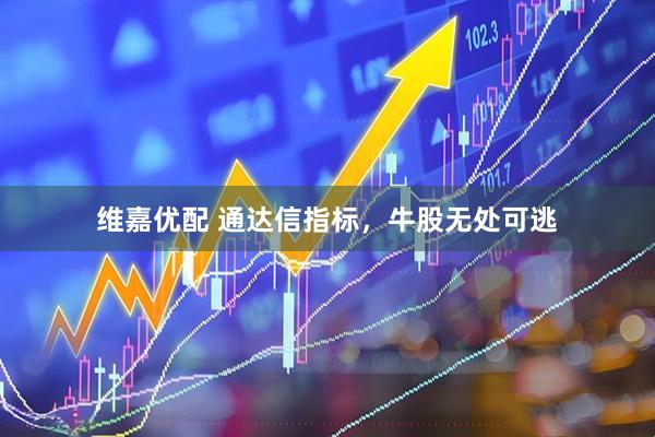 维嘉优配 通达信指标，牛股无处可逃