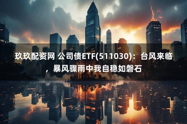 玖玖配资网 公司债ETF(511030)：台风来临，暴风骤雨中我自稳如磐石