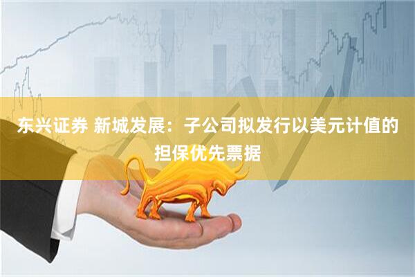东兴证券 新城发展：子公司拟发行以美元计值的担保优先票据
