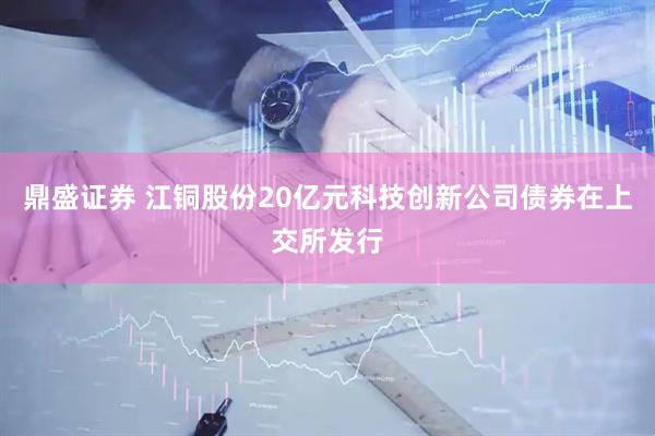 鼎盛证券 江铜股份20亿元科技创新公司债券在上交所发行