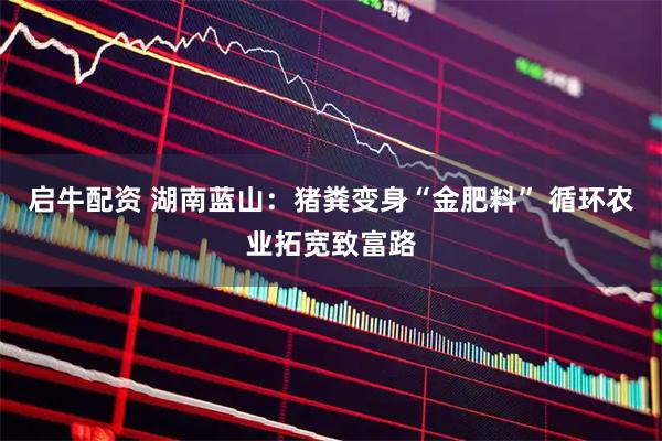 启牛配资 湖南蓝山:猪粪变身“金肥料” 循环农业拓宽致富路