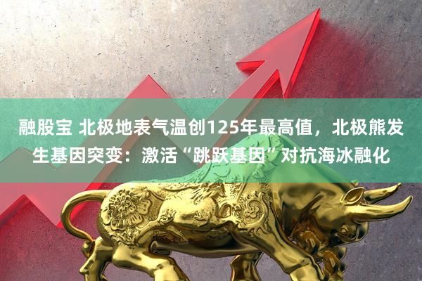 融股宝 北极地表气温创125年最高值,北极熊发生基因突变:激活“跳跃基因”对抗海冰融化